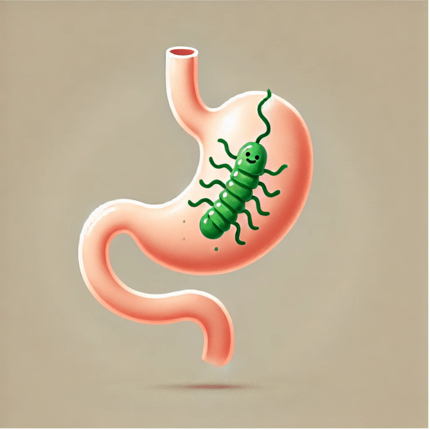 [전문가 조언 #67] 위암 발생 위험을 높이는 헬리코박터&nbsp;균