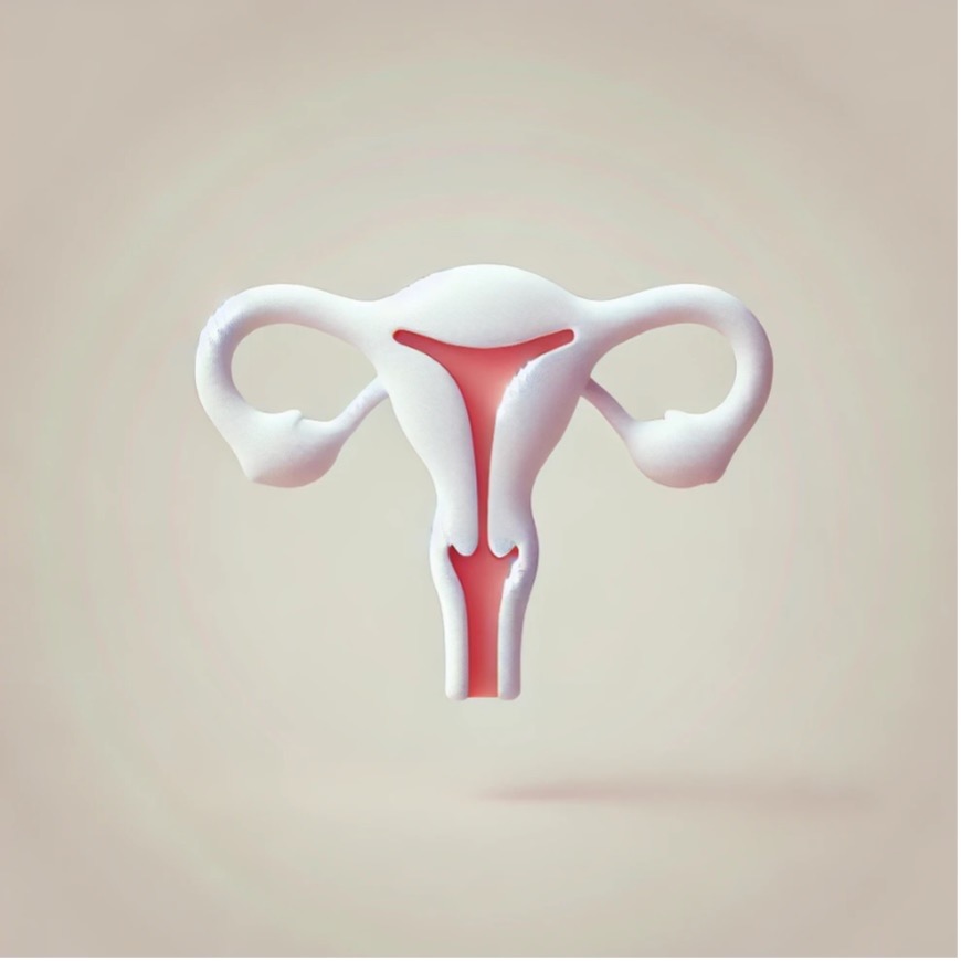 [전문가 조언 #70] 자궁경부암과 자궁내막암: 무엇이 다를까요?&nbsp;(2)